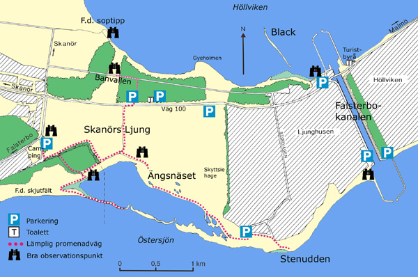 Karta